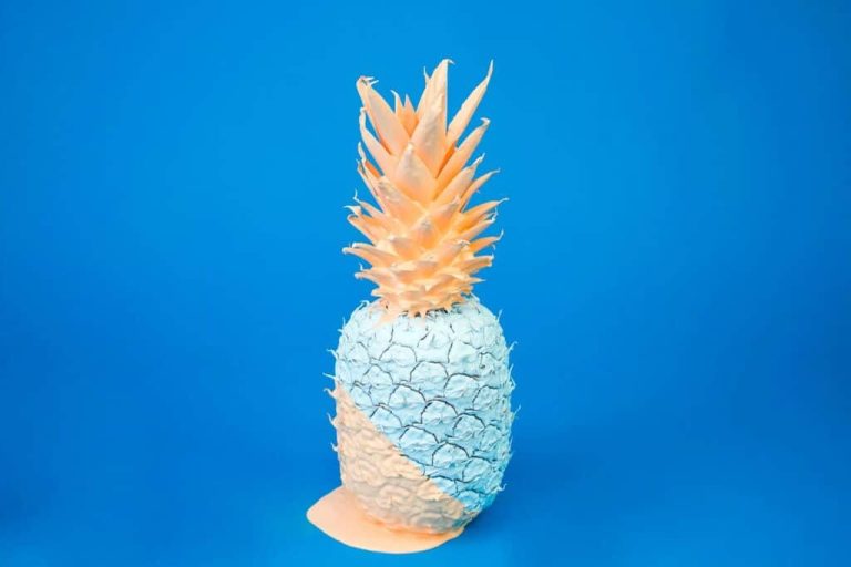 davisuko rhuu1pemhq0 unsplash 1024x682